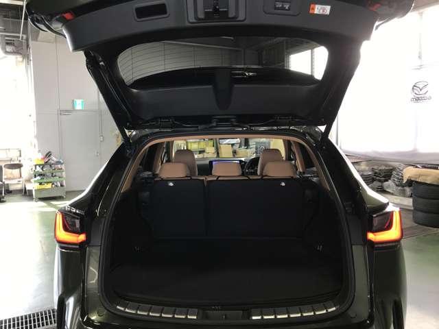 NX 350h 4WD バージョンL 全周囲カメラ サンルーフ パワーシート レーダークルーズ 衝突軽減 LEDヘッド(16枚目)