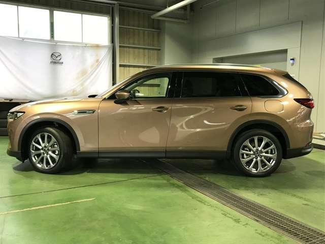 ���̓��X�����ߎԗ����ʐ^�ɂĂ��Љ���Ă��������܂��̂ŋX�������肢�v���܂��B