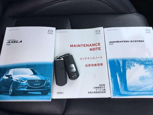 15XD Lパッケージ ディーゼルターボ Bカメ ETC(18枚目)