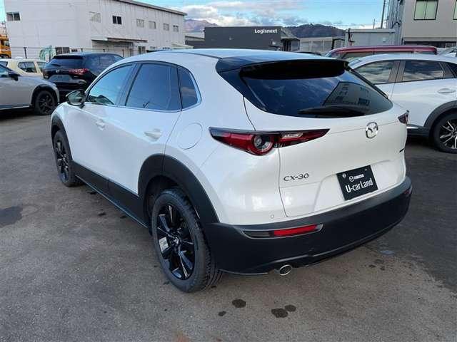 �@�萮����p�͖{�̉��i�Ɋ܂܂�Ă���܂��B�������ꂽ�T�[�r�X�X�^�b�t���@�萮�������{���A�K�v�ɉ����Č����E�C����Ƃ��{���������ŁA���S���Ă���肢���������Ԃɂ��Ă����n���v���܂��B