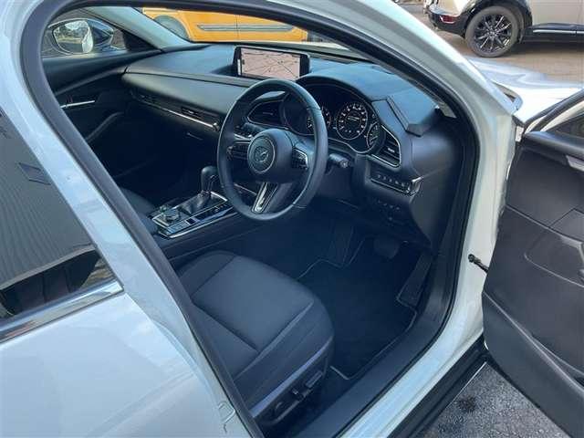 �����ړ������Ȃ��h���C�r���O�ɐ�O�ł���R�b�N�s�b�g�B�^�]���ɕK�v�ȁu���s���v�Ƃ���ȊO�́u�֗��E���K���v�𖾊m�ɕ����Ă���̂ŏ��𓾂鎞�ɖ��������Ȃ����Ă��܂��B