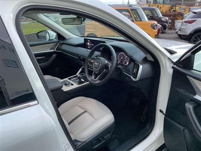 �����ړ������Ȃ��h���C�r���O�ɐ�O�ł���R�b�N�s�b�g�B�^�]���ɕK�v�ȁu���s���v�Ƃ���ȊO�́u�֗��E���K���v�𖾊m�ɕ����Ă���̂ŏ��𓾂鎞�ɖ��������Ȃ����Ă��܂��B