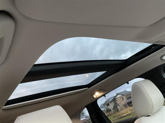 �T�����[�t�t