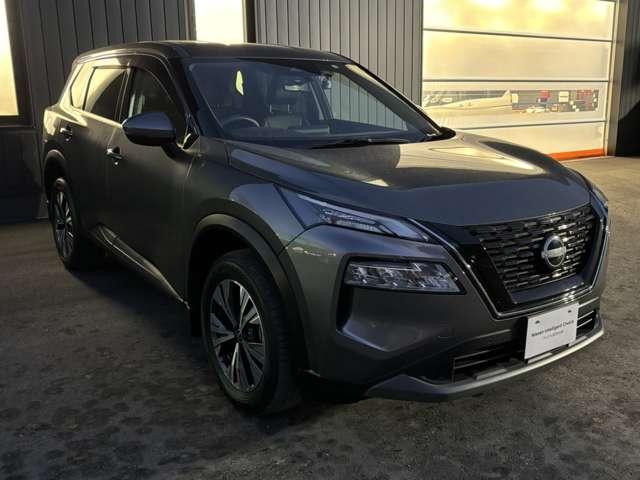 �����������_�[�N���^���O���[�J���[��