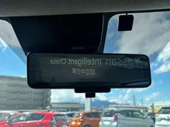 ����ƥꥸ����ȥ롼��ߥ顼�ϼ�ξ�����ξ���������ǱǤ��Ф��Ƥ���ޤ������ʤ˿ͤ���äƤ��Ƹ��Ť餤�����ʪ�Ǹ���������ʤ�����¿��Ǥ��� 6