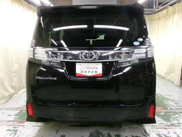 頼もしい後ろ姿・・・