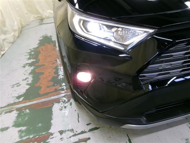 ＲＡＶ４ ハイブリッドＧ　４ＷＤ　寒冷地　衝突被害軽減システム　メモリーナビ　フルセグ　ＬＥＤヘッドランプ　アルミホイール　バックカメラ　ドラレコ　スマートキー　オートクルーズコントロール　ＥＴＣ　盗難防止装置　電動シート（34枚目）