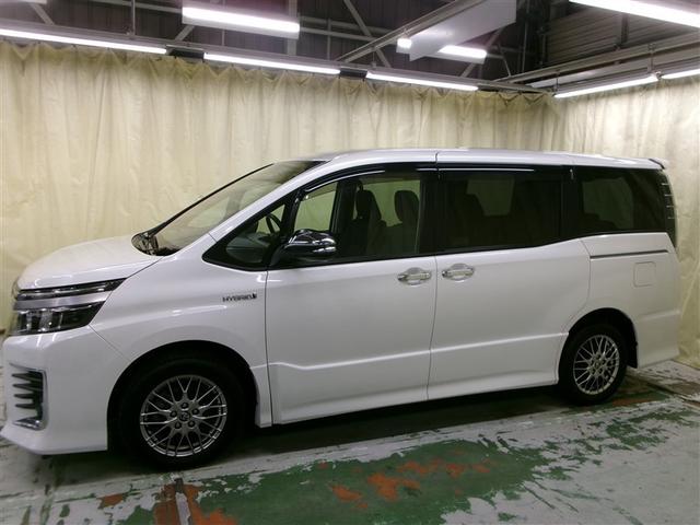 �܂��܂���肽���g�R�O�N���A�l�b�c�����Ő��������ĉ������I�I