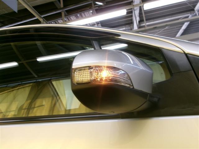 �t�H�O�����v�t���ŔZ����ᓹ�������S�ɏƂ炵�܂�