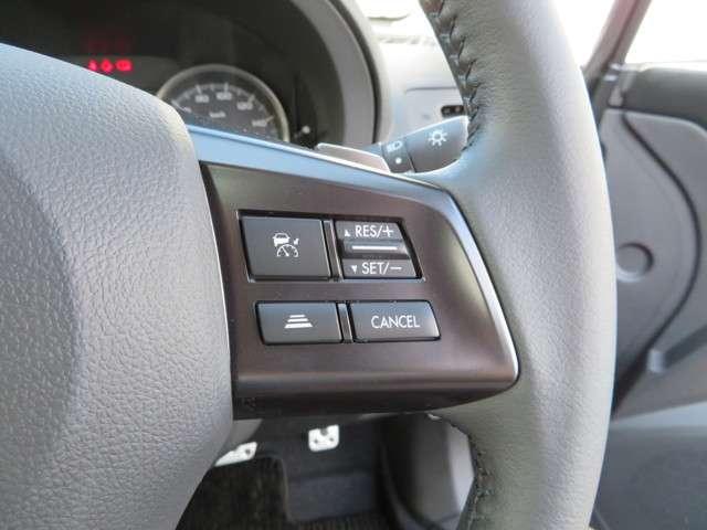 2.0 i-S アイサイト 4WD (11枚目)