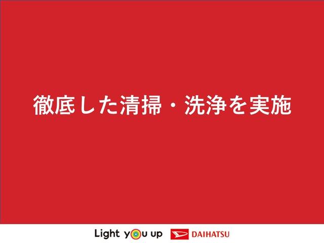 Ｇメイクアップ　ＳＡＩＩ　純正ナビ　パノラマモニター　バックモニター　純正ドライブレコーダー　純正ＥＴＣ　ＬＥＤヘッドランプ　オートライト　両側パワースライドドア　スマアシＩＩ(46枚目)