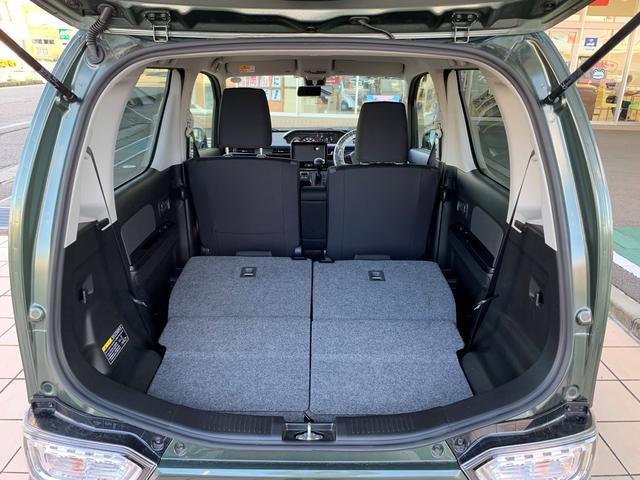 スティングレー HYBRID X 4WD カメラパッケージ(42枚目)