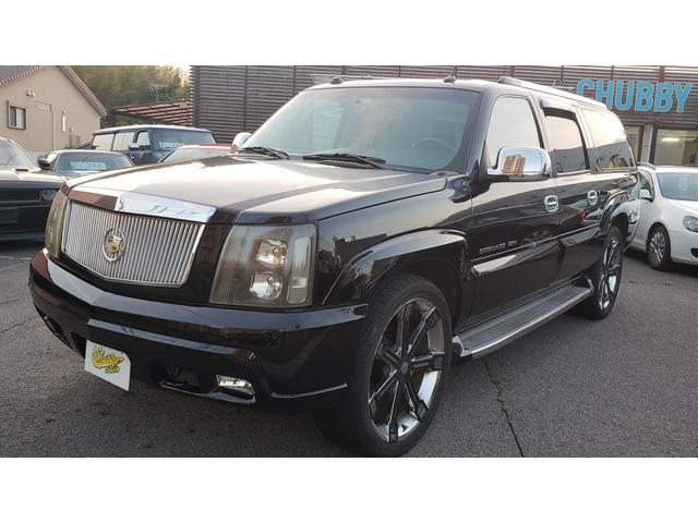 ESV 4WD 後期型 ベージュ革 SR クラシックグリル(2枚目)