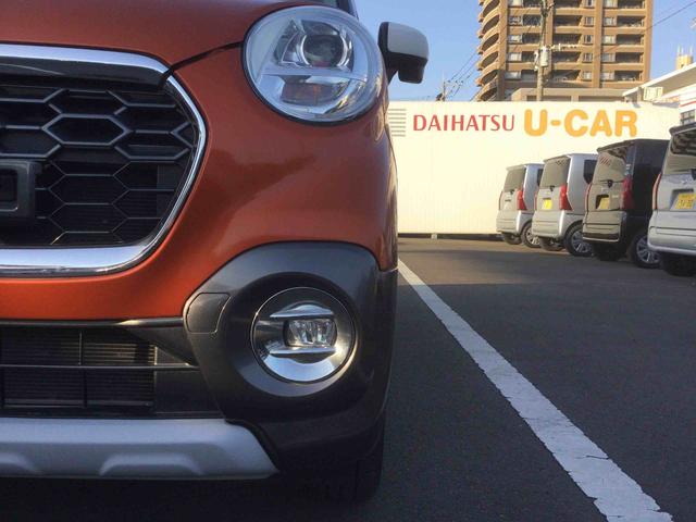 �t�H�O�����v�t��