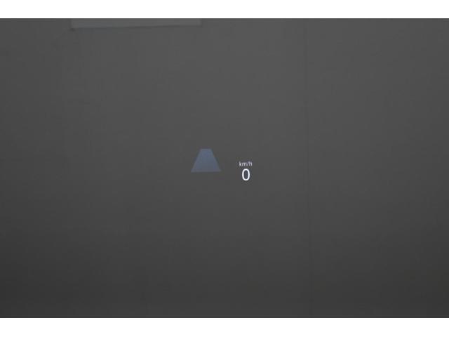 ゴルフヴァリアント ＴＤＩ　アクティブアドバンス　プラチナムエディション（28枚目）