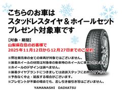 ������Τ��֤ϴ��ָ���ǥ����åɥ쥹��������ۥ�����Υץ쥼����оݤǤ������󤴸�Ƥ�������� 4