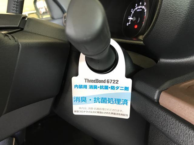 セオリーG (車内 消臭・抗菌 処理済) 衝突被害軽減システム 両側パワースライドドア キーフリーシステム(23枚目)