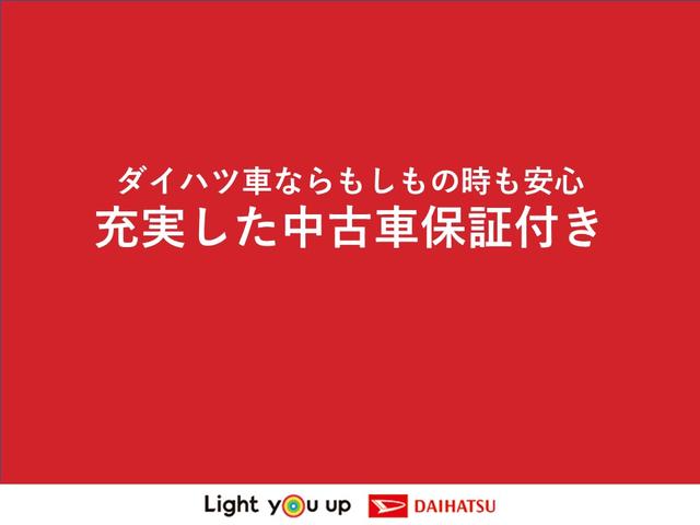 トール Ｇ　リミテッドＩＩ　ＳＡＩＩＩ　両側パワースライドドア　禁煙車　スマートキー　ワンオーナー車　運転席・助手席シートヒーター　パノラマモニター対応カメラ　純正バックカメラ　　ＬＥＤヘッドランプ　オートライト　オートハイビーム（46枚目）