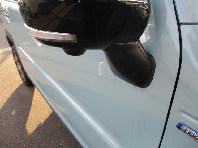 ハスラー タフワイルド　３型（6枚目）