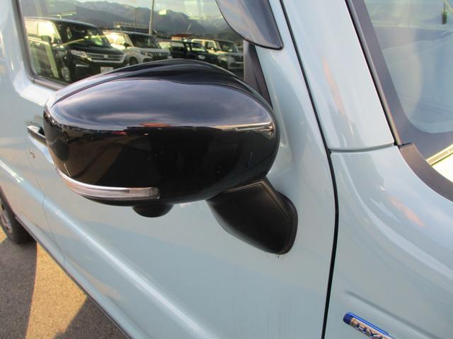 ハスラー タフワイルド　３型（13枚目）