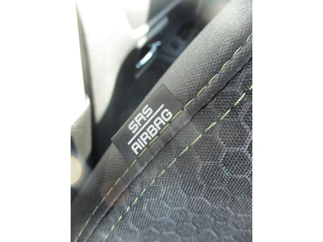 ハスラー タフワイルド　３型（21枚目）