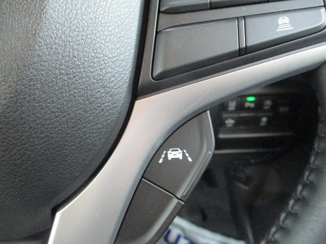 ハスラー タフワイルド　３型（41枚目）