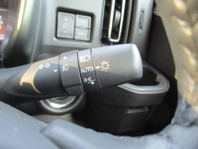 ハスラー タフワイルド　３型（42枚目）