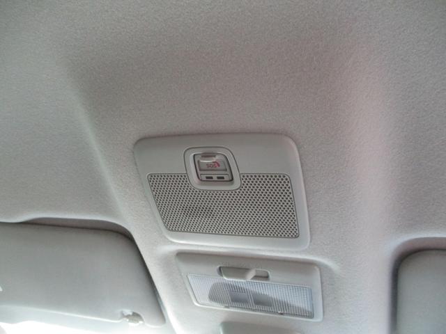 ハスラー タフワイルド　３型（51枚目）