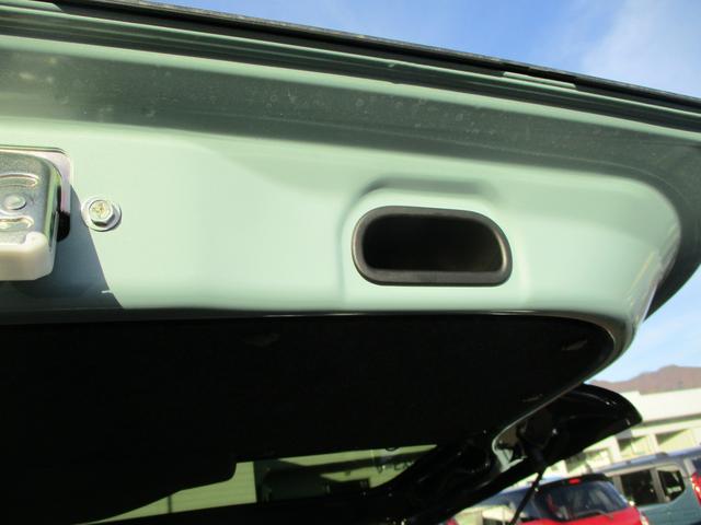 ハスラー タフワイルド　３型（65枚目）