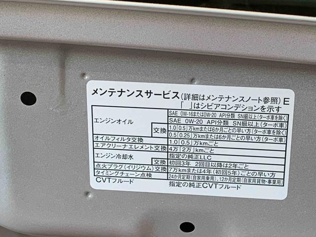 ストライプスＸ　まごころ保証１年付き　記録簿　取扱説明書　オートマチックハイビーム　衝突被害軽減システム　スマートキー　レーンアシスト　エアバッグ　エアコン　パワーステアリング　パワーウィンドウ　ＡＢＳ(49枚目)