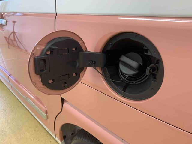 ムーヴキャンバス ストライプスＧ　保証付き（52枚目）