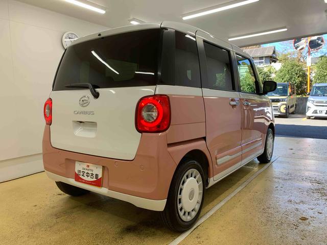 ムーヴキャンバス ストライプスＧ　保証付き（53枚目）