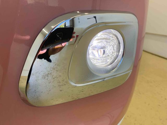 ムーヴキャンバス ストライプスＧ　保証付き（58枚目）