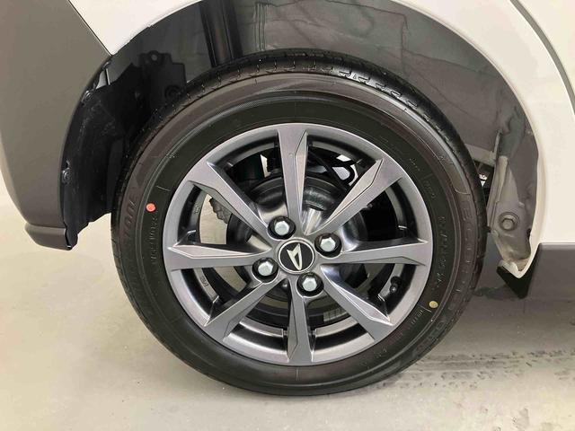 �P�S�C���`�A���~�z�C�[��