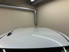 �͵��Υ��顼�����㥤�˥󥰥ۥ磻�ȥѡ��� 5