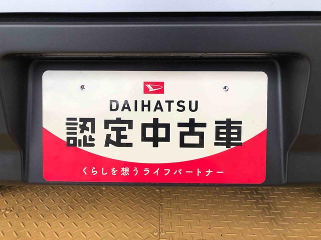 ハイゼットカーゴ ＤＸ　４ＷＤ　ＡＭ／ＦＭラジオ　　マニュアルエアコン　パワーステアリング　パワードアロック　キーレスエントリー　衝突被害軽減システム　横滑り防止機能　アイドリングストップ　オートライト　ＡＢＳ（49枚目）