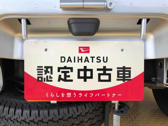 ハイゼットトラック スタンダード 農用スペシャル 4WD マニュアルエアコン パワステ オートライト 作業灯 リヤ4枚リーフスプリング スーパーデフロック ラジオデッキ 衝突被害軽減システム 横滑り防止機能 アイドリングストップ ABS(49枚目)