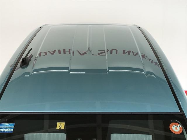 X リミテッドSAIII(45枚目)