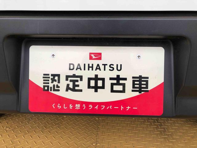 ハイゼットカーゴ ＤＸ　４ＷＤ　ＡＭ／ＦＭラジオ　　マニュアルエアコン　パワーステアリング　パワードアロック　キーレスエントリー　衝突被害軽減システム　横滑り防止機能　アイドリングストップ　オートライト　ＡＢＳ（49枚目）