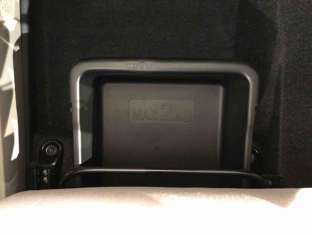 キャスト スタイルＧ　ＶＳ　ＳＡＩＩＩ　４ＷＤ　衝突被害軽減システム　横滑り防止機能　アイドリングストップ　オートライト　オートエアコン　プッシュスタート　スマートキー　電動格納ドアミラー　パワーウィンドウ　パワステ　ＡＢＳ（54枚目）