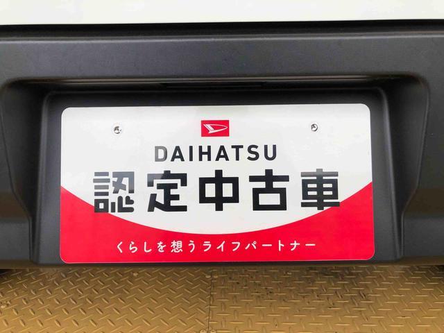 ハイゼットカーゴ ＤＸ　４ＷＤ　ＡＭ／ＦＭラジオ　　マニュアルエアコン　パワーステアリング　パワードアロック　キーレスエントリー　衝突被害軽減システム　横滑り防止機能　アイドリングストップ　オートライト　ＡＢＳ（49枚目）