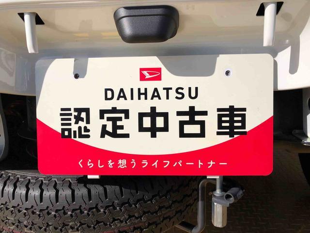 ハイゼットトラック スタンダード　４ＷＤ　マニュアルエアコン　パワステ　タイミングチェーン　ラジオデッキ　手動ドアミラー　手動ウィンドウ　衝突被害軽減システム　横滑り防止機能　アイドリングストップ　ＡＢＳ（49枚目）