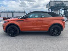 ��󥸥����С���������������С����֥� �ȣӣť����ʥߥå����ȣӣť����ʥߥå��ʣ�̾�� 0120006A30260224W001 5