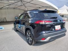 �������饯���� �ϥ��֥�åɡ��ڡ�����롼�ա��ե륻�������꡼�ʥ� 0120015A20251129T002 3