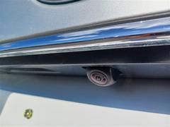 ���饦��ޥ������� �ƥС�����󡡣ʡݥե���ƥ������ե륻�����ȣģĥʥӡ��ģ֣ĺ��� 0120036A20260112T002 6