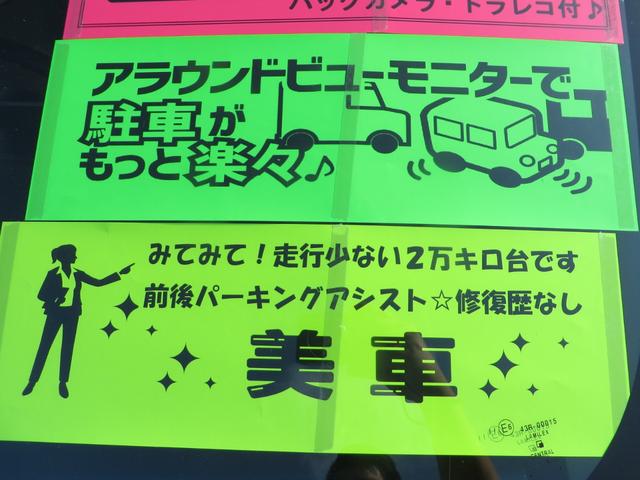 X レーダーブレーキサポート搭載 全方位アラウンドビューモニター 前後クリアランスソナー&パーキングアシスト ナビ・CD・DVD・ブルートゥース通話音楽・ETC・ドライブレコーダー(44枚目)