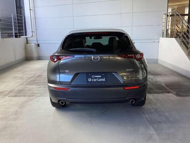 力強い印象のリアビュー。