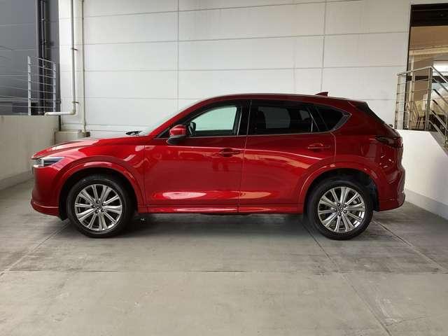 流れるようなデザインのサイドビュー。