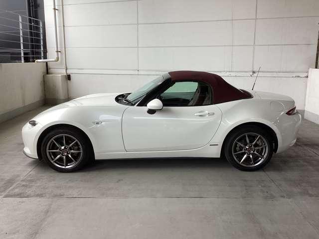 流れるようなデザインのサイドビュー。