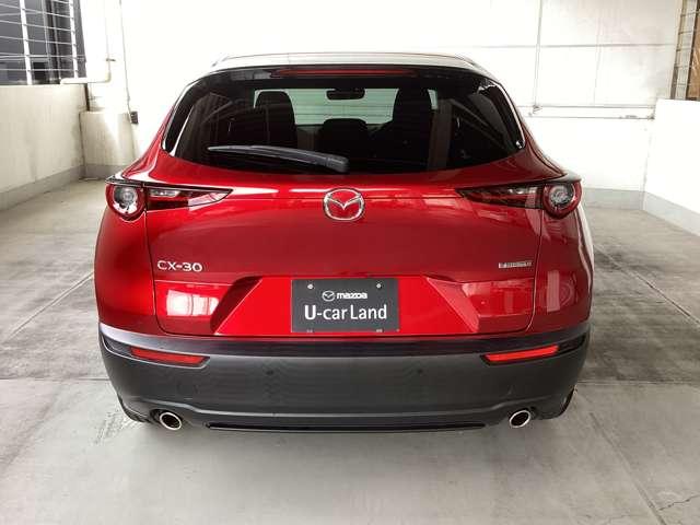 力強い印象のリアビュー。